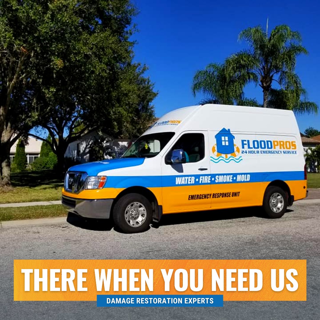 mold-removal-tampa